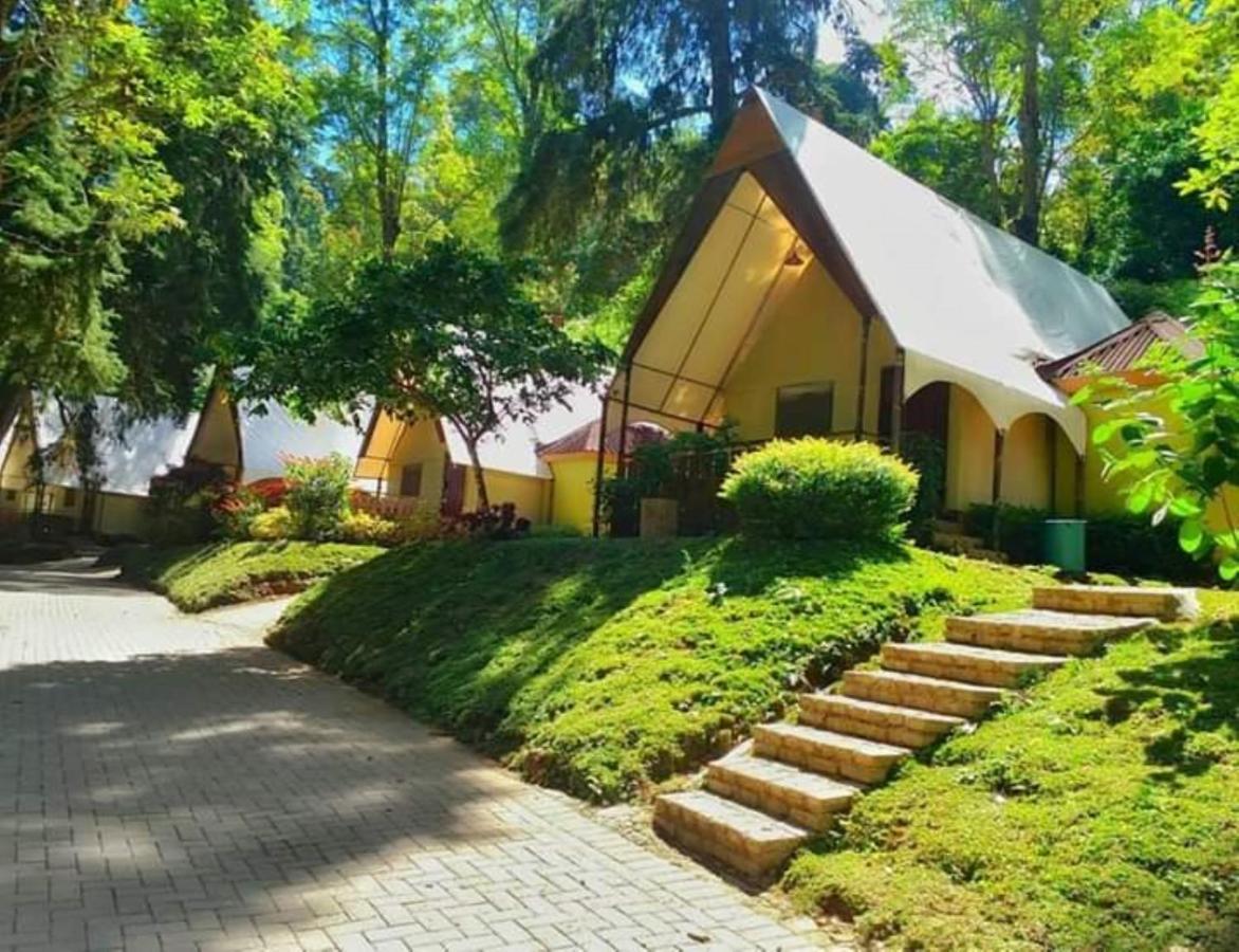Lawu Forest Camp ซารางงัน ภายนอก รูปภาพ