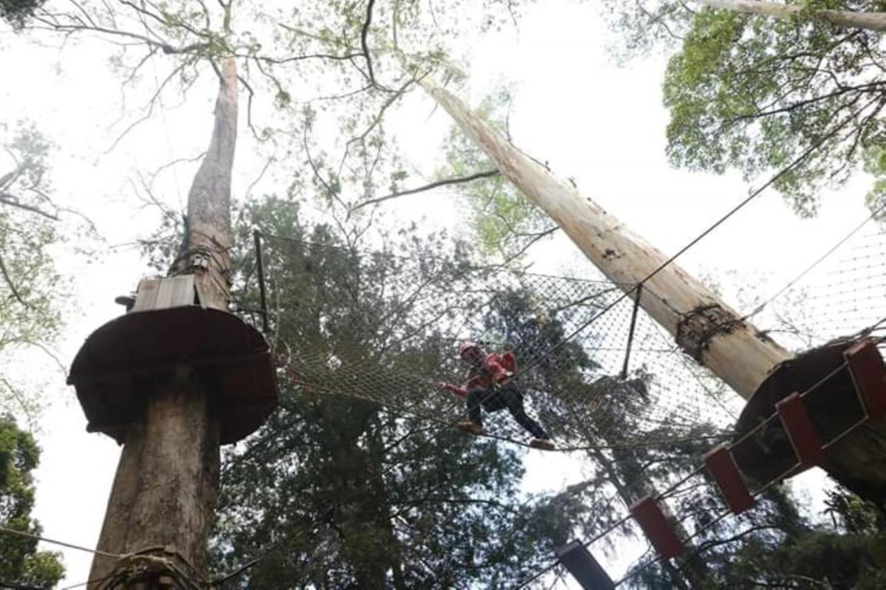 Lawu Forest Camp ซารางงัน ภายนอก รูปภาพ